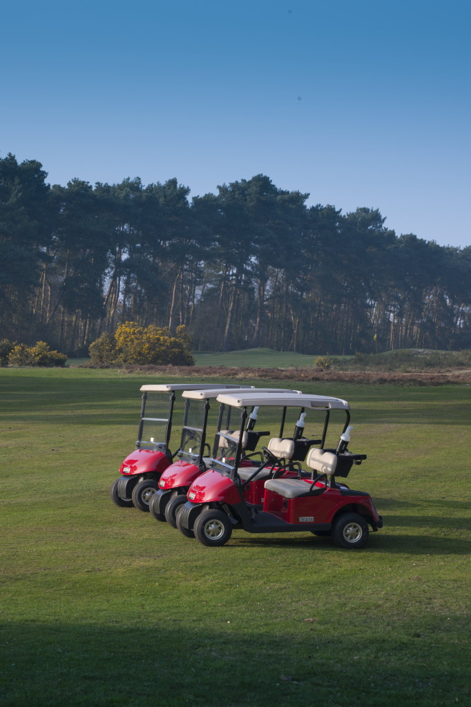 Rxv 1 Uk Golf Buggies